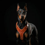 The ''Style'' harness Brown - Bestia Collars