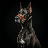 The "Balteus" leather muzzle BROWN - Bestia Collars