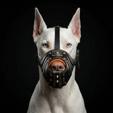''Eros'' Basket Muzzle black & orange - Bestia Collars