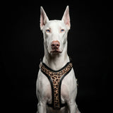 The Leopard Harness