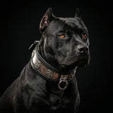 The ''Viking'' LIMITED collar exclusive design/ 50 pieces