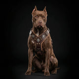 Harnais pour gros chiens "Aztec" BROWN