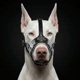 The "Hektor" muzzle - Bestia Collars