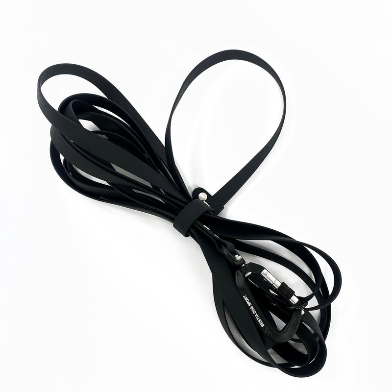 Long black leash for dog training 