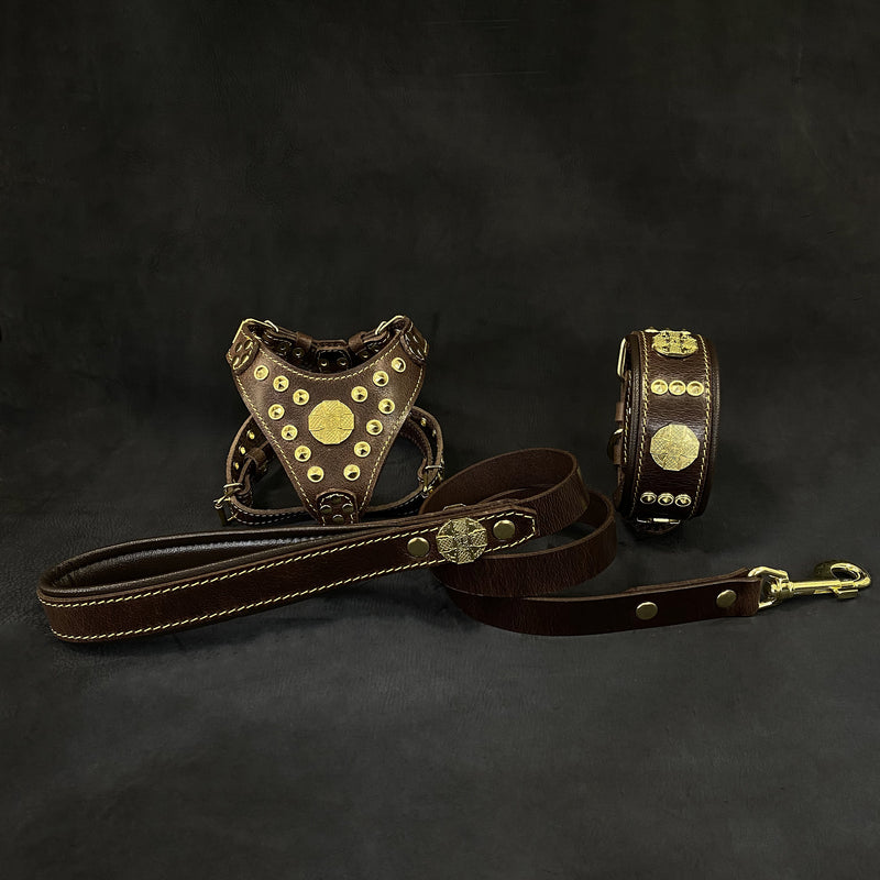 "Maximus Brown&Gold" SET para perros pequeños - Arnés - collar - correa