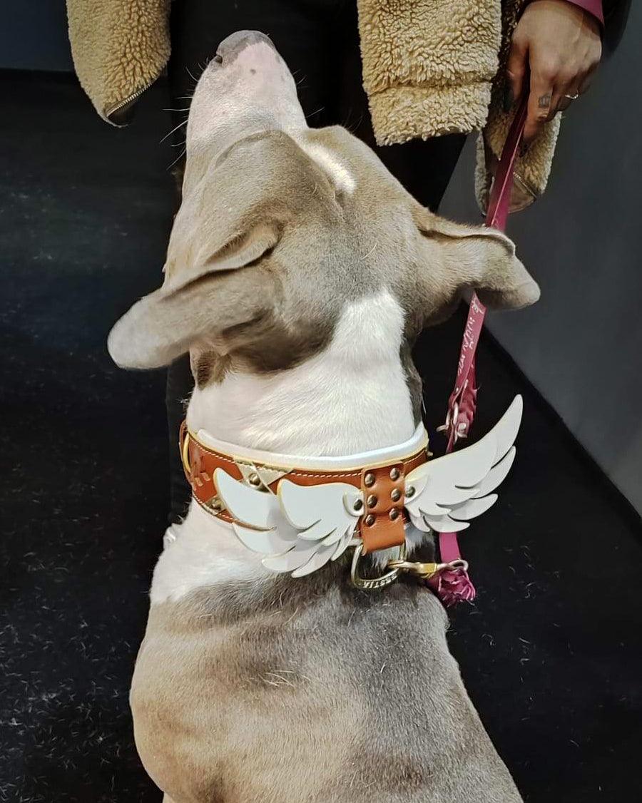Hermes handgefertigter Lederhundehalsband – Bestia Collars