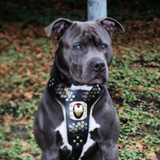 ''IRON MAN'' HARNESS - Bestia Collars