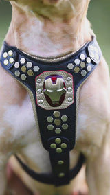 Irondog Harness