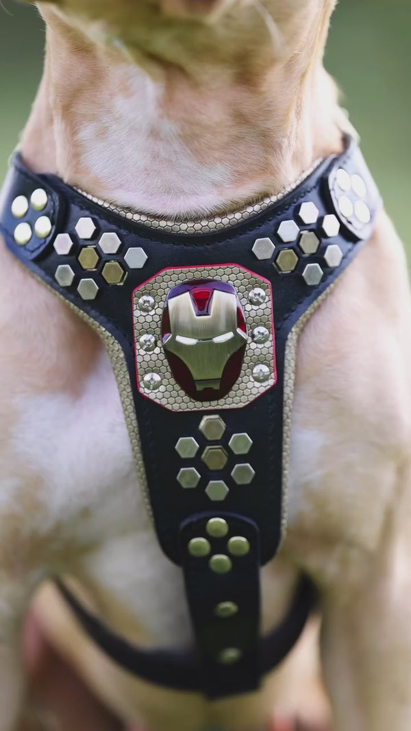 Irondog Harness
