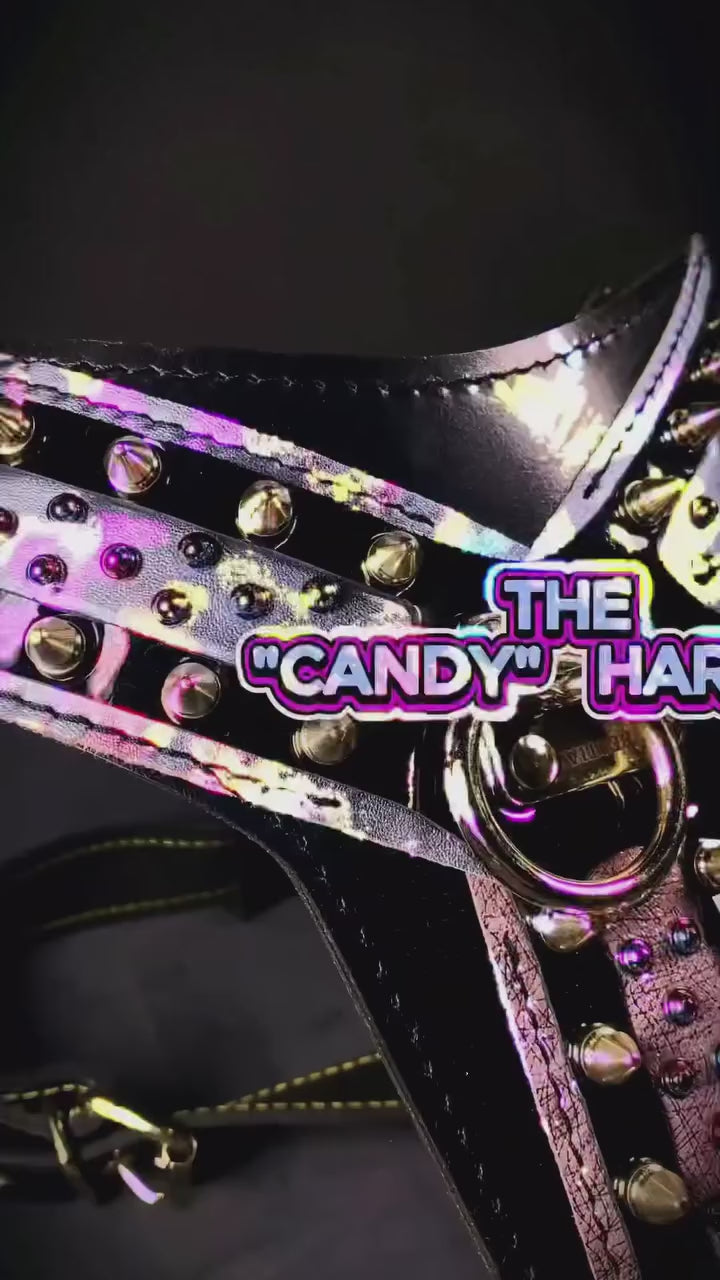 Video close-up of the Bestia Candy Black leather dog harness: studded pastel panels and gold hardware