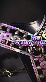 Video close-up of the Bestia Candy Black leather dog harness: studded pastel panels and gold hardware