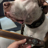 The Aztec brown leather leash with silver medallion - customer photo