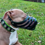 Pit Bull wearing the Bijou basket muzzle Black & Green with matching collar - customer photo
