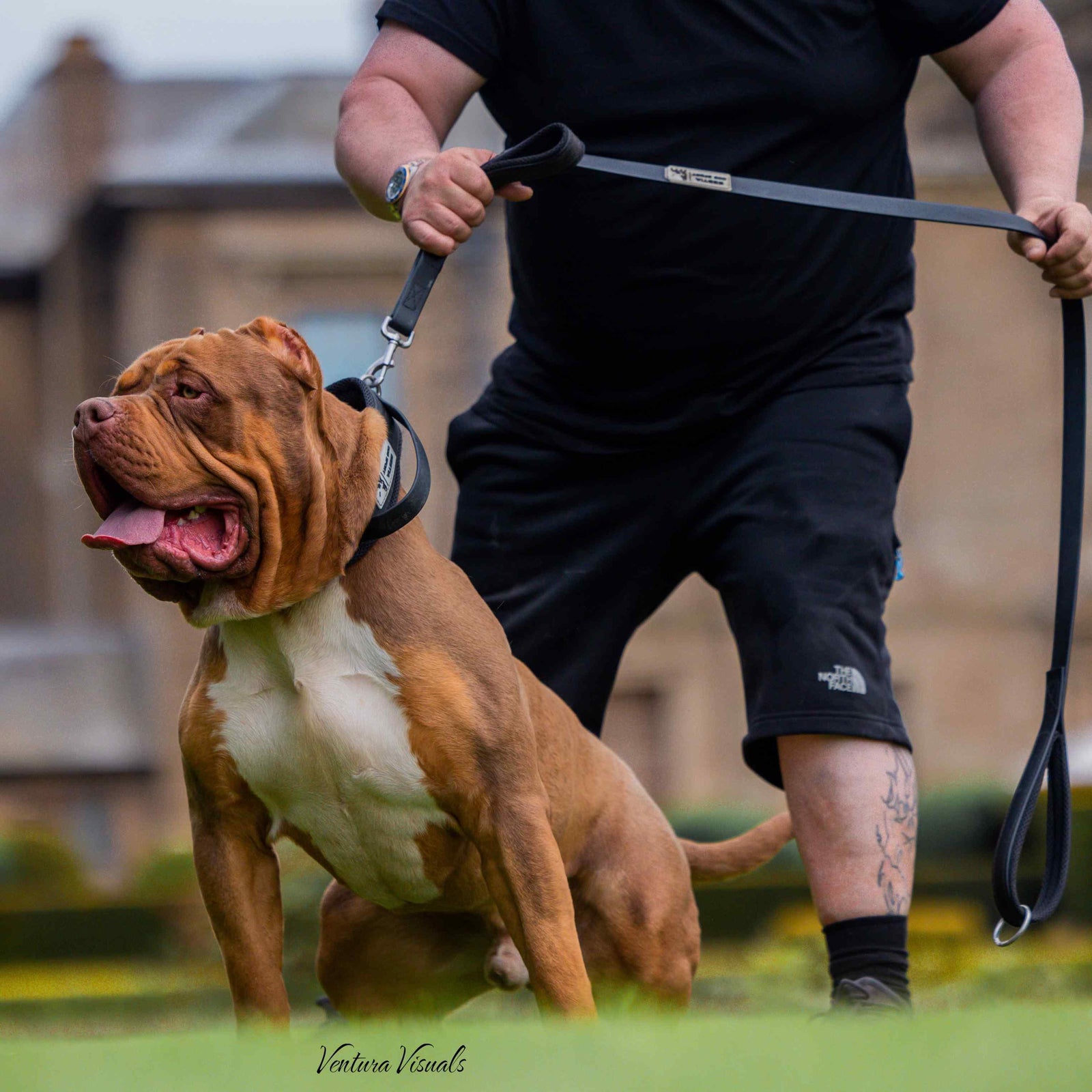 Bestia Dog Sport Hundeleine 'Dual Handle' – 1,5 M, Rosa, Mit Gepolsterten Griffen & Robustem Karabiner