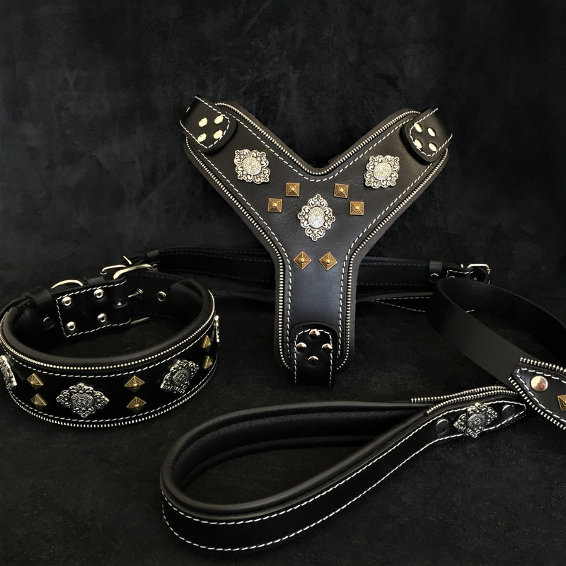 "AZTEC" BIG dog SET - Harness - collar - lead. Black Leads & Head Collars