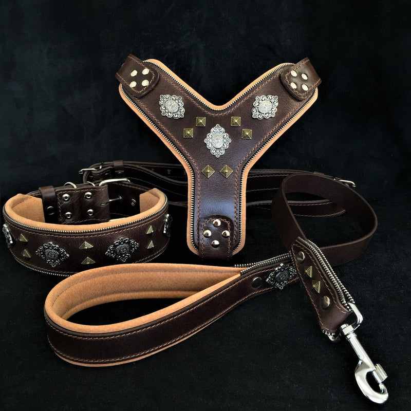 "AZTEC" BIG dog SET - Harness - collar - lead. Brown Leads & Head Collars