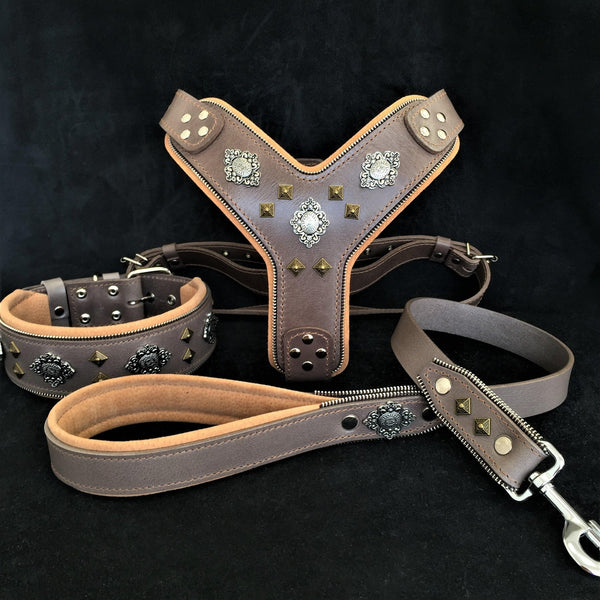 "AZTEC" BIG dog SET - Harness - collar - lead. Grey Leads & Head Collars