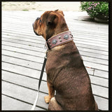 "Aztec" grey dog collar Collars