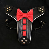 Bestia ''Bowtie'' leather harness Harnesses