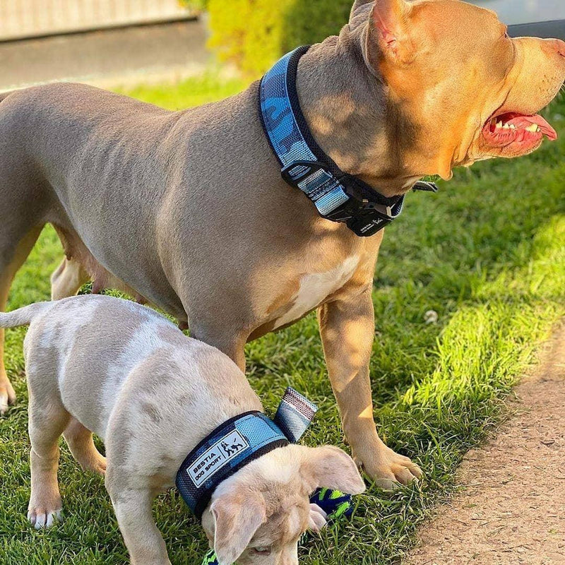 BESTIA DOG SPORT FAST RELEASE COLLAR BLUE S - fitting a neck of 30 to 45 cm (11.8