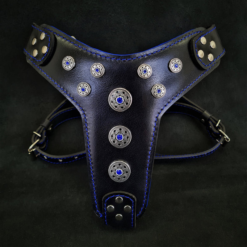 ''Bijou'' harness Black & Blue for big dogs Harnesses