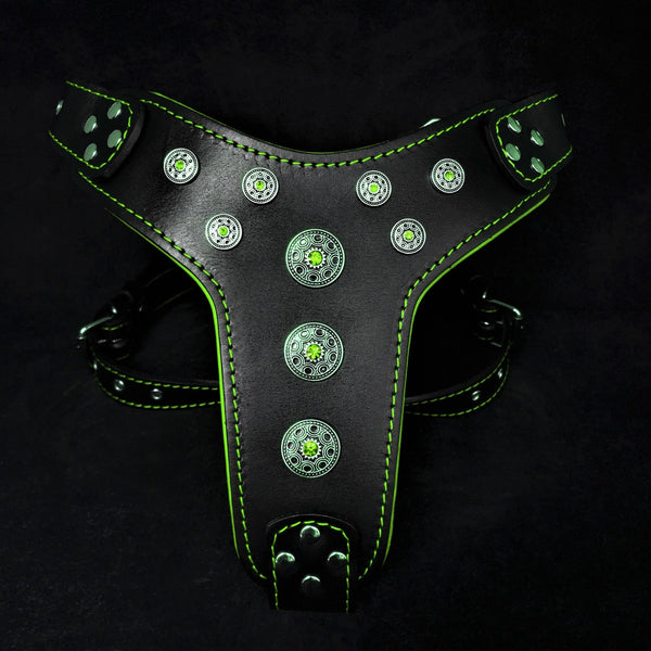 ''Bijou'' harness Black & Green for big dogs Harnesses