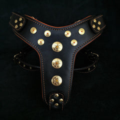 ''Bijou'' harness Black & Orange for big dogs Harnesses