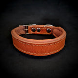 Clean Puppy Collar Collars