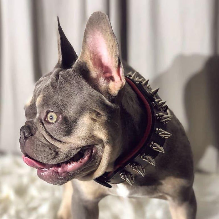 LUOZZY Halloween Hundehalsband – Totenkopf-Design Mit Kristall, Rot, Größe S, Verstellbar, Aus PU