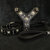 "EROS" BIG dog SET- Harness - collar - lead. All Black Leads & Head Collars