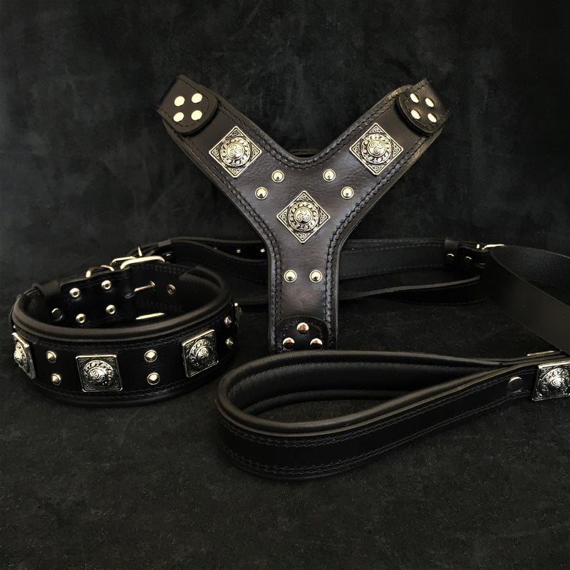 "EROS" BIG dog SET- Harness - collar - lead. All Black Leads & Head Collars