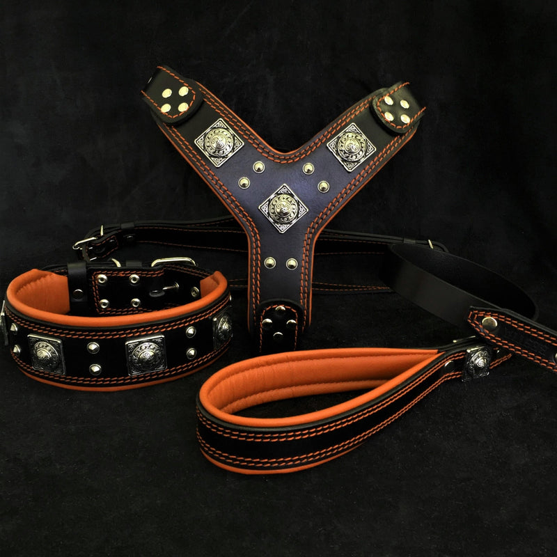"EROS" BIG dog SET- Harness - collar - lead. Black & Orange Leads & Head Collars