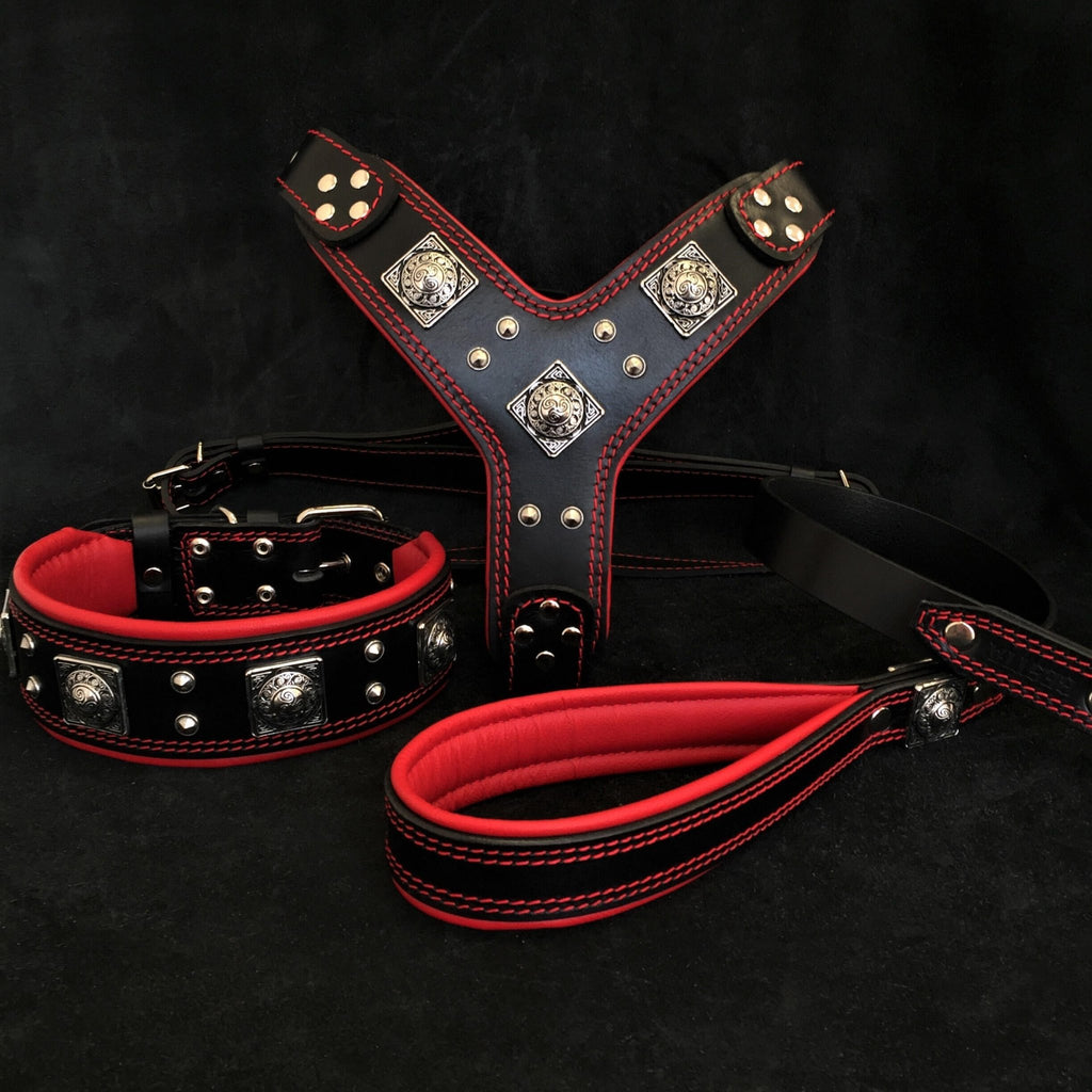 Dog Collars Male Boy MEDIUM Leather Red Brown Black Adjustable Stars Studs  Bell