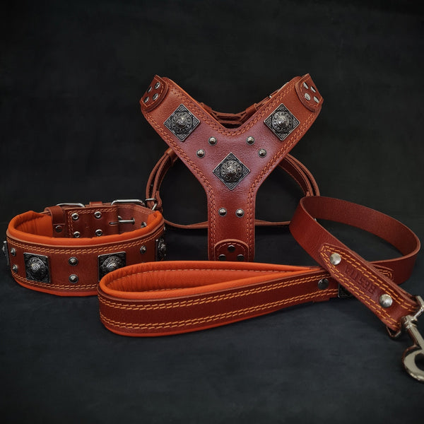 "EROS" BIG dog SET- Harness - collar - lead. Brown & Orange Leads & Head Collars