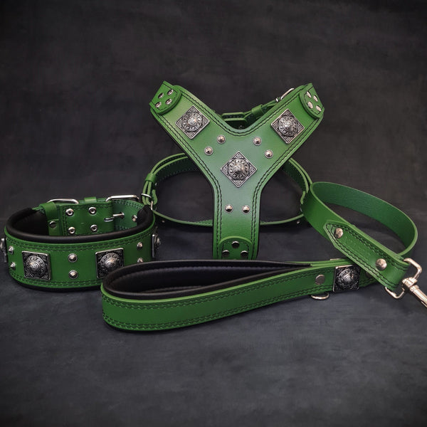 "EROS" BIG dog SET- Harness - collar - lead. Green Leads & Head Collars