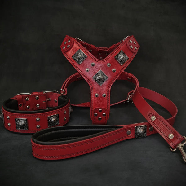 "EROS" BIG dog SET- Harness - collar - lead. Red Leads & Head Collars