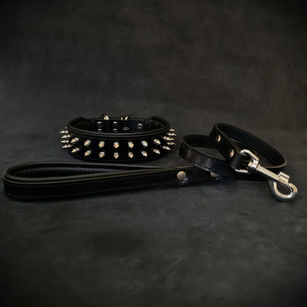 "Frenchie" Set- collar & leash. Black Leads & Head Collars
