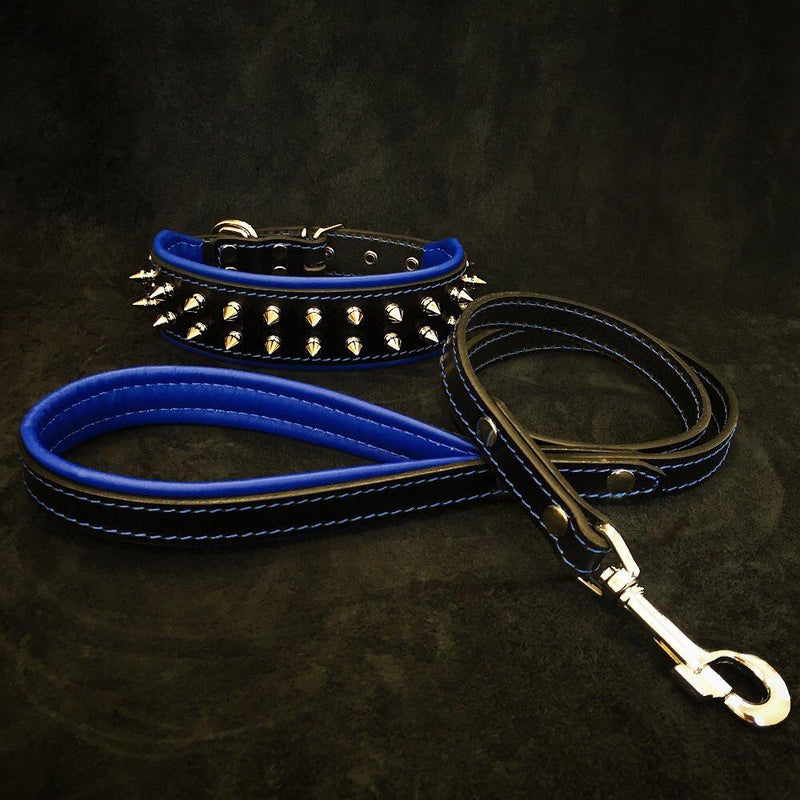 "Frenchie" Set- collar & leash. Blue Leads & Head Collars