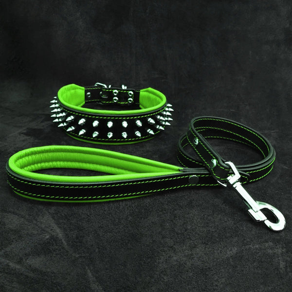"Frenchie" Set- collar & leash. Green Leads & Head Collars