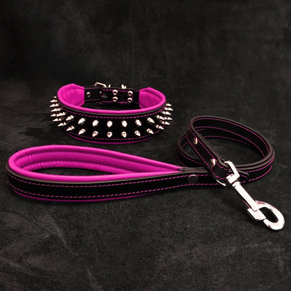 "Frenchie" Set- collar & leash. Pink Leads & Head Collars