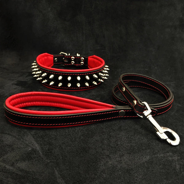"Frenchie" Set- collar & leash. Red Leads & Head Collars