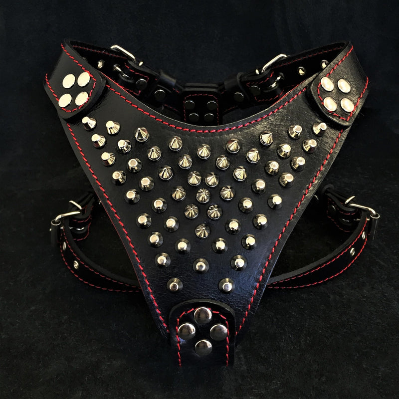 ''Frenchie'' studded leather harness Small to Medium Size Harnesses
