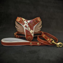 "Hermes" Set- harness & leash Leads & Head Collars