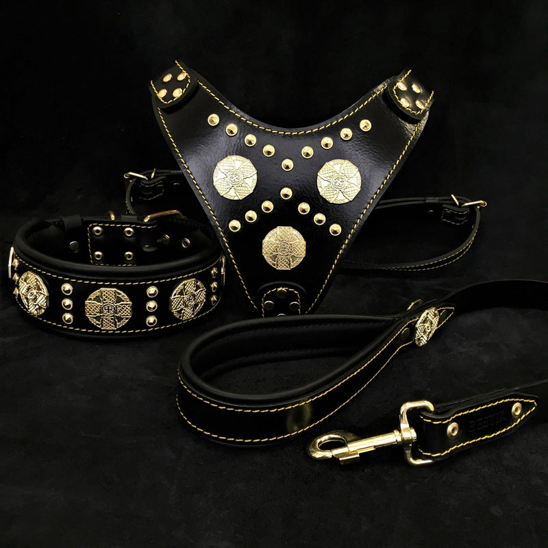 "Maximus Black" BIG dog SET- Harness - collar - lead. Brass rivets Leads & Head Collars