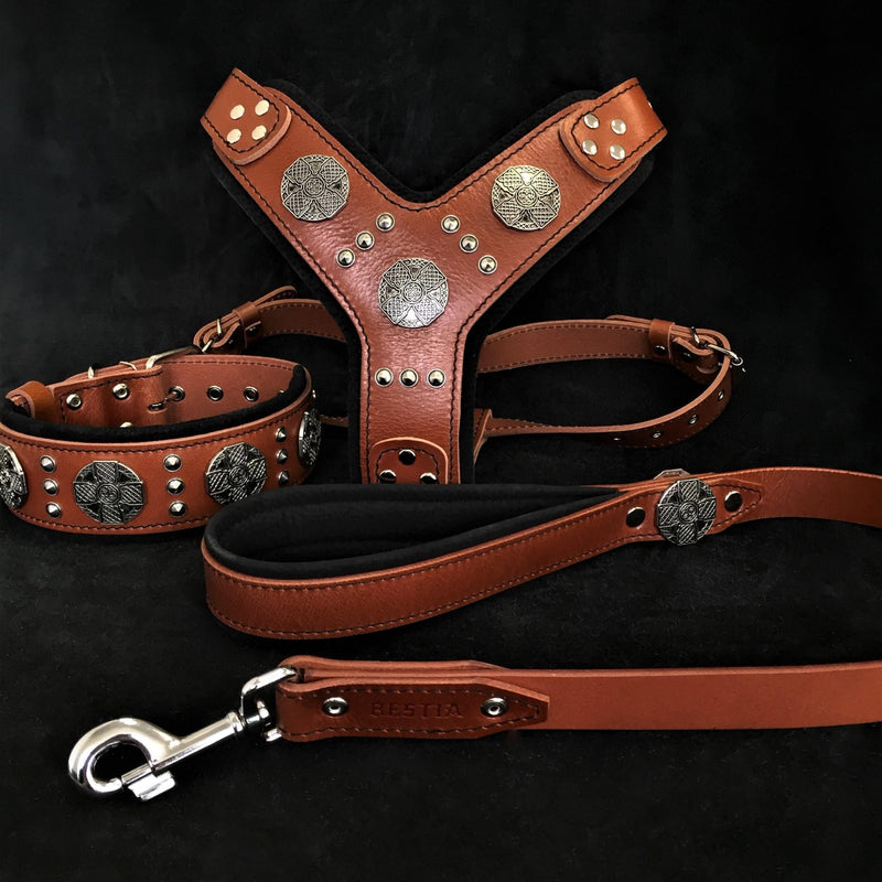 "Maximus Silver" BIG dog SET- Harness - collar - lead. Brown Leads & Head Collars