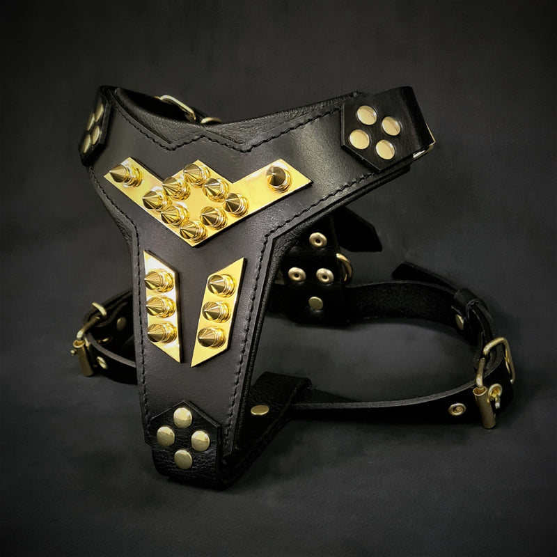 ''Midas'' leather dog harness gold medium size Harnesses