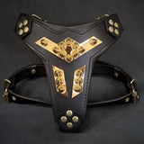 ''Midas'' leather dog harness gold medium size Harnesses