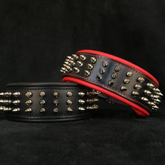 "Silver Giant" collar Collars