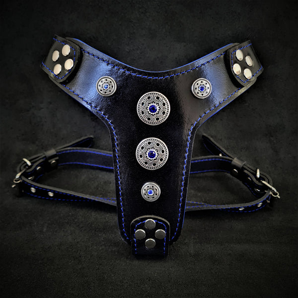 The ''Bijou'' harness Black & Blue Small to Medium Size Harnesses