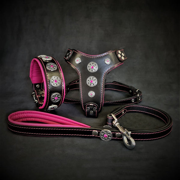 The ''Bijou'' SET - Collar, Harness, Leash. Pink Leads & Head Collars